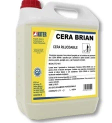 cera brian- clean tech-