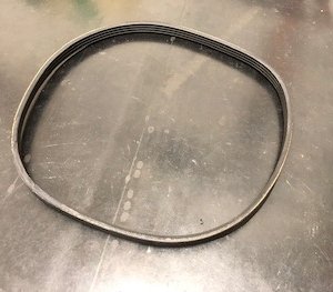 Cinghia poly-v rullo lavasciuga floor 350